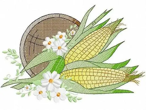 Corn Design